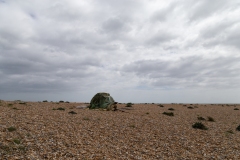 dungeness-3